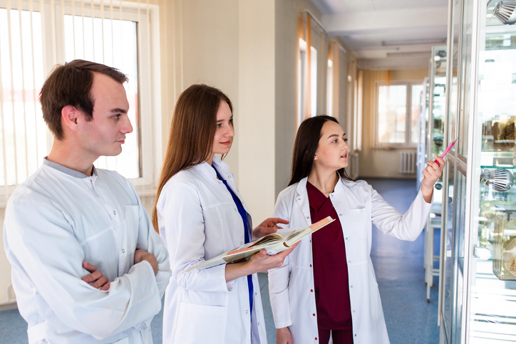 Especialização em Medicina Veterinária