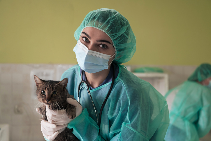 Medicina Veterinária